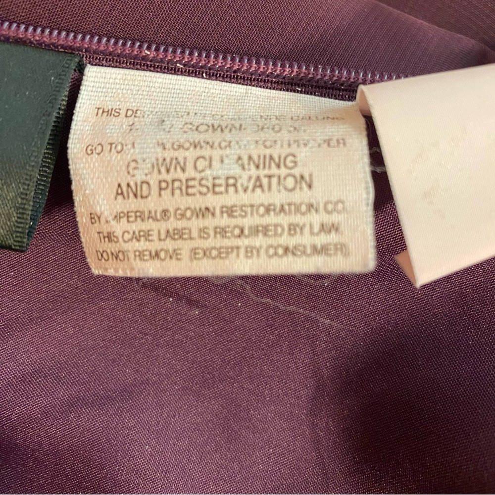 Impression Gown - image 7